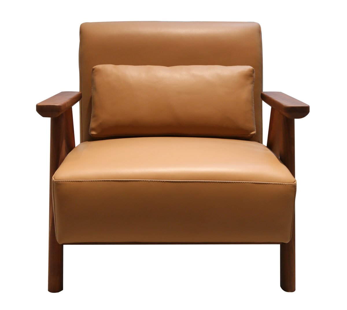 Leisure chair front view, ergonomic seating